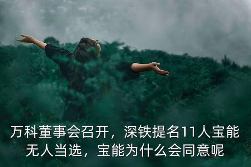 萬(wàn)科董事會(huì)召開，深鐵提名11人寶能無(wú)人當(dāng)選，寶能為什么會(huì)同意呢