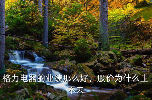 格力電器的業(yè)績那么好，股價為什么上不去
