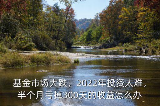 基金市場(chǎng)大跌，2022年投資太難，半個(gè)月虧掉300天的收益怎么辦