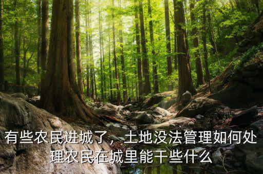 有些農民進城了，土地沒法管理如何處理農民在城里能干些什么