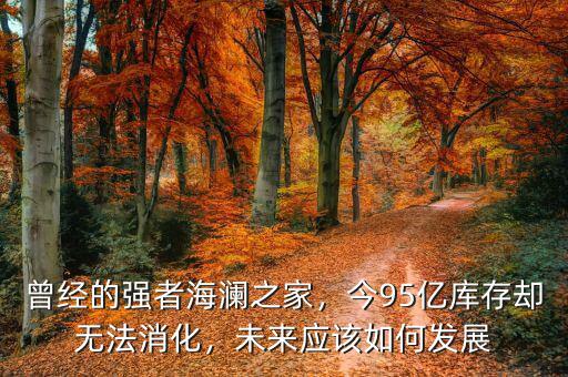 曾經(jīng)的強者海瀾之家，今95億庫存卻無法消化，未來應該如何發(fā)展