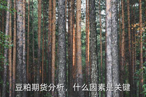 豆粕期貨分析，什么因素是關(guān)鍵