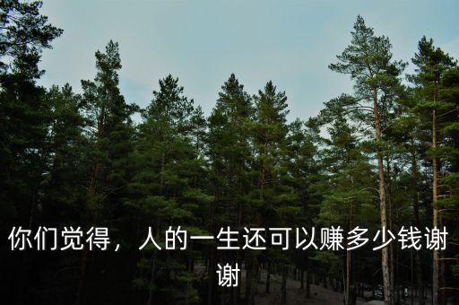 你們覺得，人的一生還可以賺多少錢謝謝