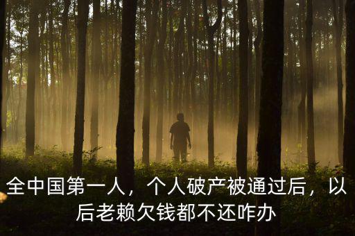 全中國第一人，個人破產(chǎn)被通過后，以后老賴欠錢都不還咋辦