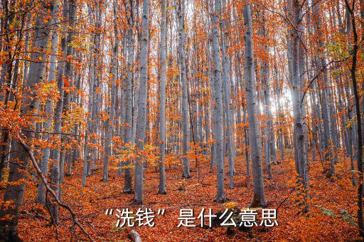 “洗錢(qián)”是什么意思