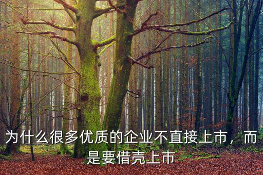 為什么很多優(yōu)質(zhì)的企業(yè)不直接上市，而是要借殼上市