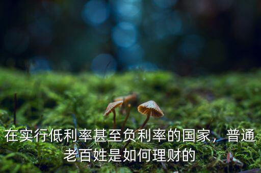 在實行低利率甚至負利率的國家，普通老百姓是如何理財?shù)? class=