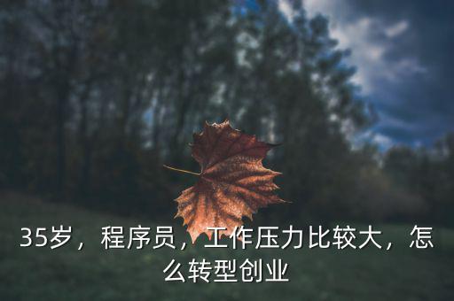 35歲，程序員，工作壓力比較大，怎么轉型創(chuàng)業(yè)
