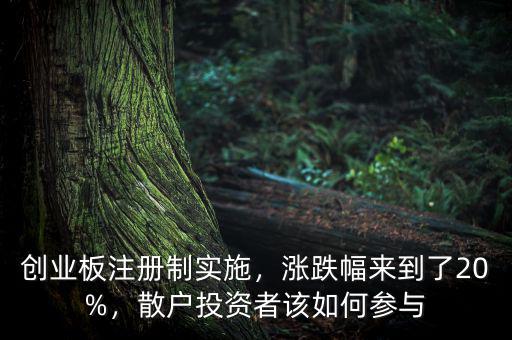 創(chuàng)業(yè)板注冊(cè)制實(shí)施，漲跌幅來(lái)到了20%，散戶投資者該如何參與