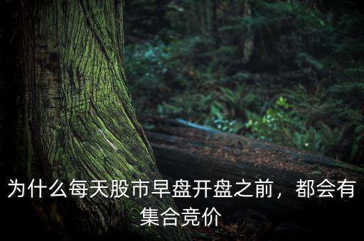 為什么每天股市早盤(pán)開(kāi)盤(pán)之前，都會(huì)有集合競(jìng)價(jià)