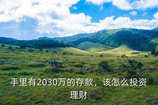 手里有2030萬的存款，該怎么投資理財(cái)