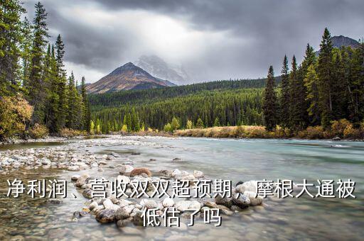 凈利潤、營收雙雙超預(yù)期，摩根大通被低估了嗎