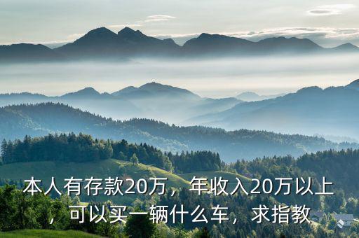 本人有存款20萬(wàn)，年收入20萬(wàn)以上，可以買一輛什么車，求指教