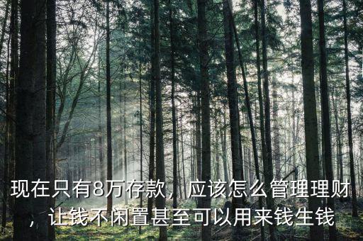 現(xiàn)在只有8萬存款，應(yīng)該怎么管理理財(cái)，讓錢不閑置甚至可以用來錢生錢