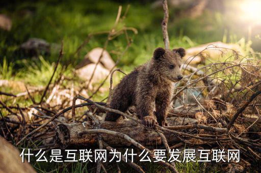 什么是互聯(lián)網為什么要發(fā)展互聯(lián)網