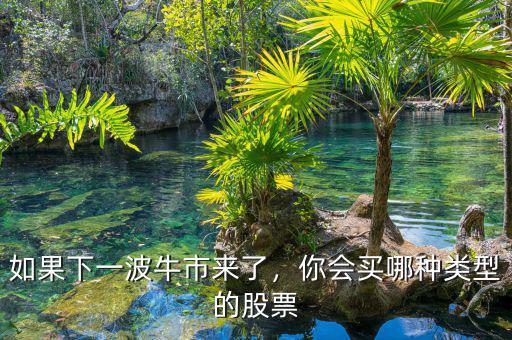 如果下一波牛市來了，你會買哪種類型的股票