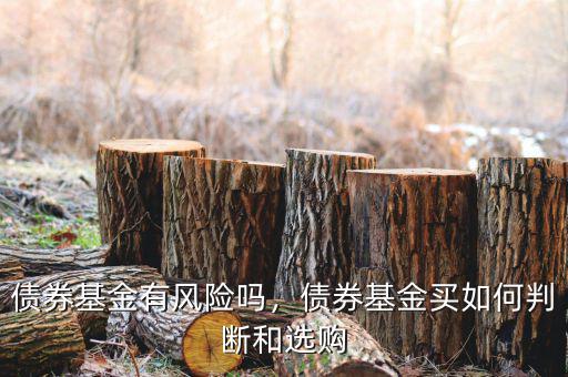 債券基金有風險嗎，債券基金買如何判斷和選購