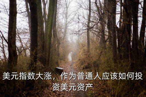 美元指數(shù)大漲，作為普通人應(yīng)該如何投資美元資產(chǎn)