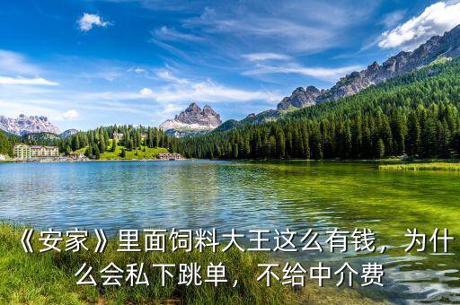 《安家》里面飼料大王這么有錢，為什么會私下跳單，不給中介費