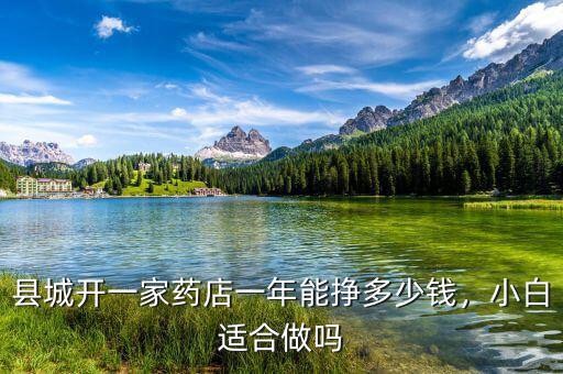 縣城開一家藥店一年能掙多少錢，小白適合做嗎