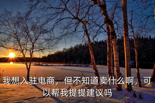 我想入駐電商，但不知道賣什么啊，可以幫我提提建議嗎