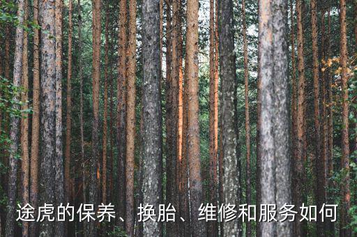 途虎的保養(yǎng)、換胎、維修和服務(wù)如何