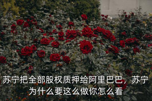 蘇寧把全部股權質押給阿里巴巴，蘇寧為什么要這么做你怎么看