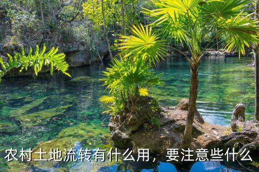 農(nóng)村土地流轉(zhuǎn)有什么用，要注意些什么