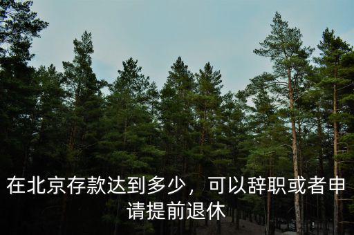 在北京存款達到多少，可以辭職或者申請?zhí)崆巴诵? class=