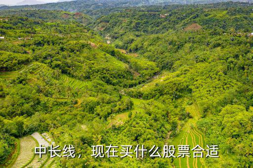 中長(zhǎng)線，現(xiàn)在買(mǎi)什么股票合適
