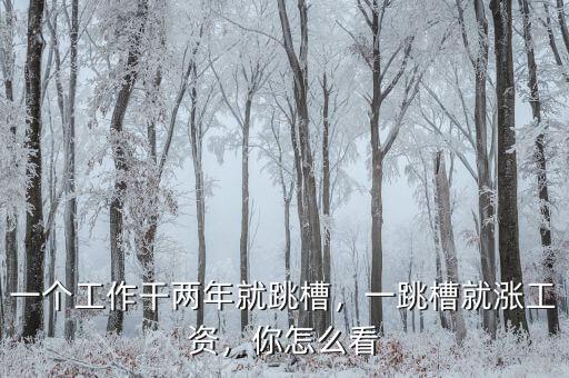 一個工作干兩年就跳槽，一跳槽就漲工資，你怎么看