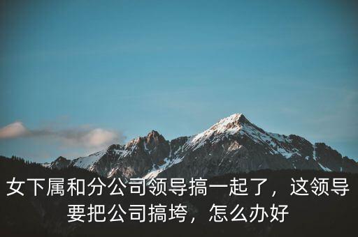 女下屬和分公司領(lǐng)導(dǎo)搞一起了，這領(lǐng)導(dǎo)要把公司搞垮，怎么辦好