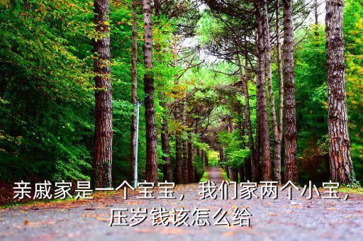 親戚家是一個寶寶，我們家兩個小寶，壓歲錢該怎么給