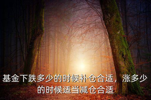 基金下跌多少的時候補倉合適，漲多少的時候適當減倉合適