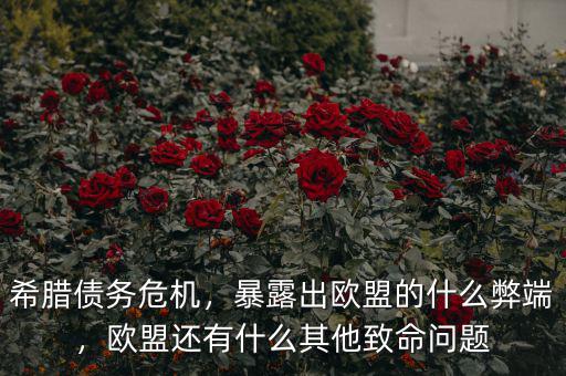 希臘債務(wù)危機(jī)，暴露出歐盟的什么弊端，歐盟還有什么其他致命問題