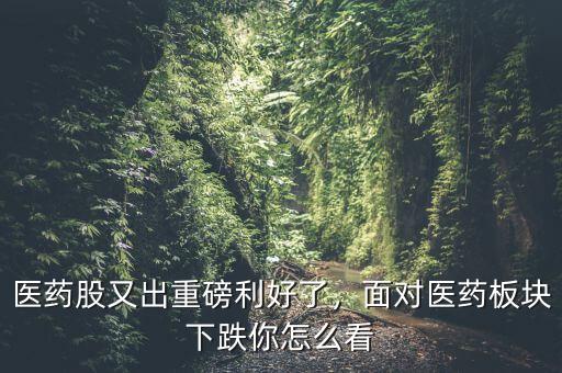 醫(yī)藥股又出重磅利好了，面對醫(yī)藥板塊下跌你怎么看