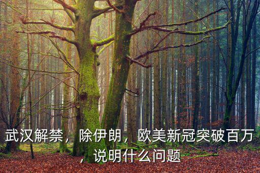 武漢解禁，除伊朗，歐美新冠突破百萬(wàn)，說(shuō)明什么問題