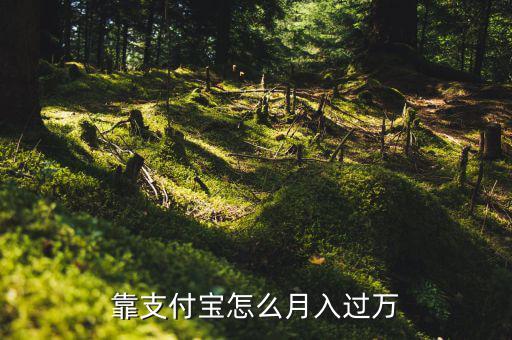 靠支付寶怎么月入過萬(wàn)