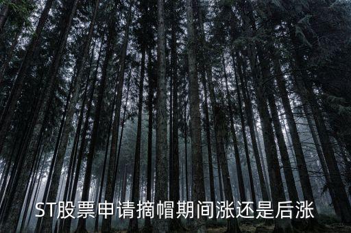 ST股票申請(qǐng)摘帽期間漲還是后漲