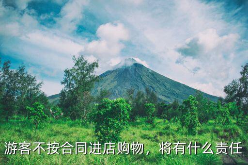 游客不按合同進店購物，將有什么責任