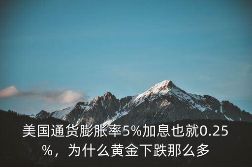 美國通貨膨脹率5%加息也就0.25%，為什么黃金下跌那么多
