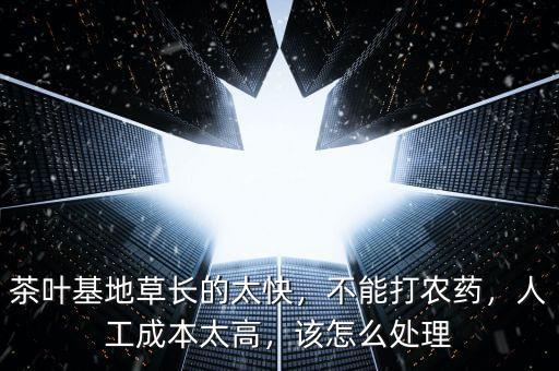 茶葉基地草長的太快，不能打農(nóng)藥，人工成本太高，該怎么處理