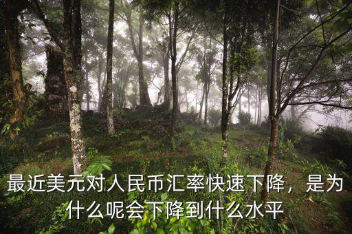 最近美元對人民幣匯率快速下降，是為什么呢會下降到什么水平