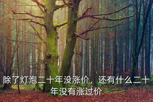 除了燈泡二十年沒漲價，還有什么二十年沒有漲過價