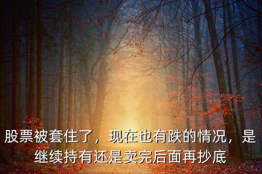 股票被套住了，現(xiàn)在也有跌的情況，是繼續(xù)持有還是賣完后面再抄底