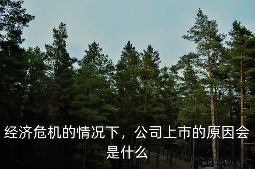 經(jīng)濟危機的情況下，公司上市的原因會是什么