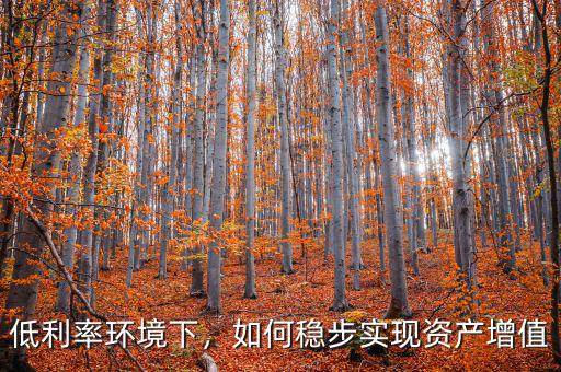 低利率環(huán)境下，如何穩(wěn)步實現(xiàn)資產(chǎn)增值