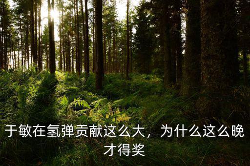 于敏在氫彈貢獻這么大，為什么這么晚才得獎