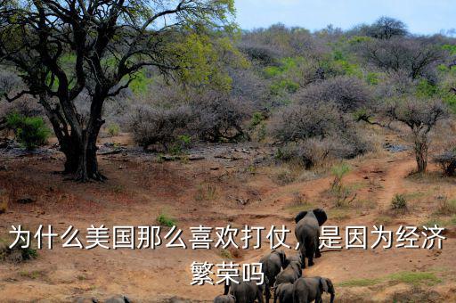 為什么美國那么喜歡打仗，是因為經(jīng)濟繁榮嗎