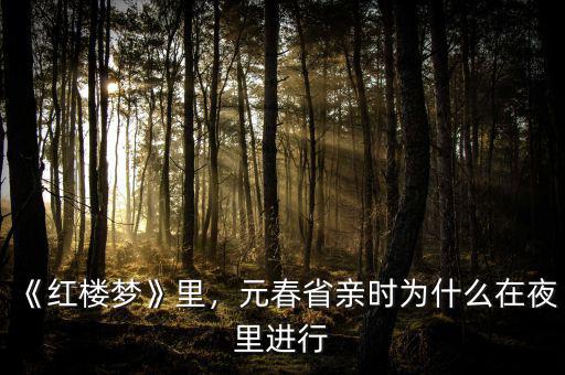 《紅樓夢》里，元春省親時為什么在夜里進行
